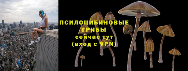 стафф Арсеньев