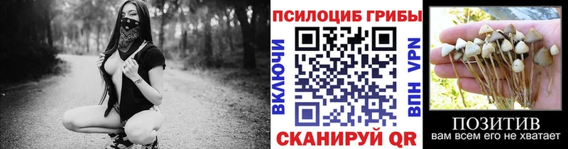 Псилоцибиновые грибы Cubensis  хочу   Геленджик 